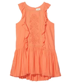 PEEK Lace & Embroidery Dress (Toddler/Little Kids/Big Kids)