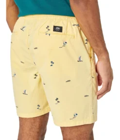 Vans Range Relaxed Elastic Shorts -Madewell Sales Store 71Ecf1cgQTL