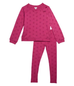 Splendid Littles Sweatshirt & Leggings Set (Toddler/Little Kids)