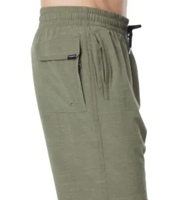 Volcom Packasack Lite 19" Shorts -Madewell Sales Store 81akqI2MtyL