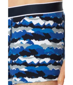 BOSS Trunks 24 Print -Madewell Sales Store 81z5npY2JqL