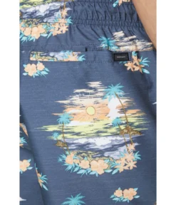 Rip Curl Dreamers 16" Volley -Madewell Sales Store 91JQaqivkvL