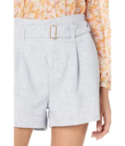 Bishop + Young Montecito Shorts -Madewell Sales Store 91aDXNxvZHL