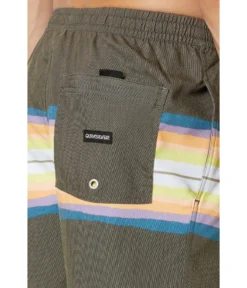 Quiksilver Resin Tint 17" Volley -Madewell Sales Store A1QLPEFUcL